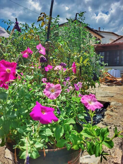 Panthea Cottage Sztavrúpoli Kültér fotó